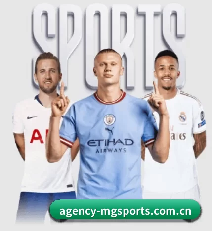 agency-mgsports.com.cn的方向